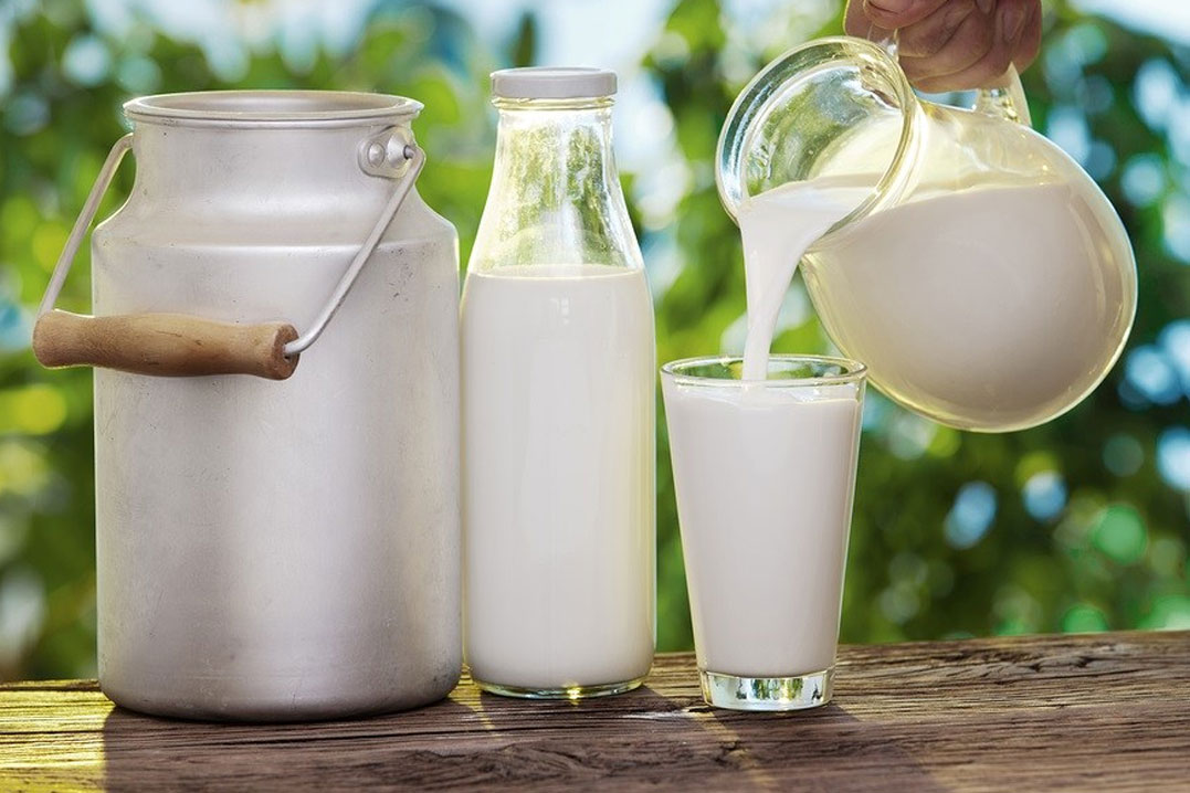 شیر پرچرب و کم‌چرب چگونه تولید می‌شود؟